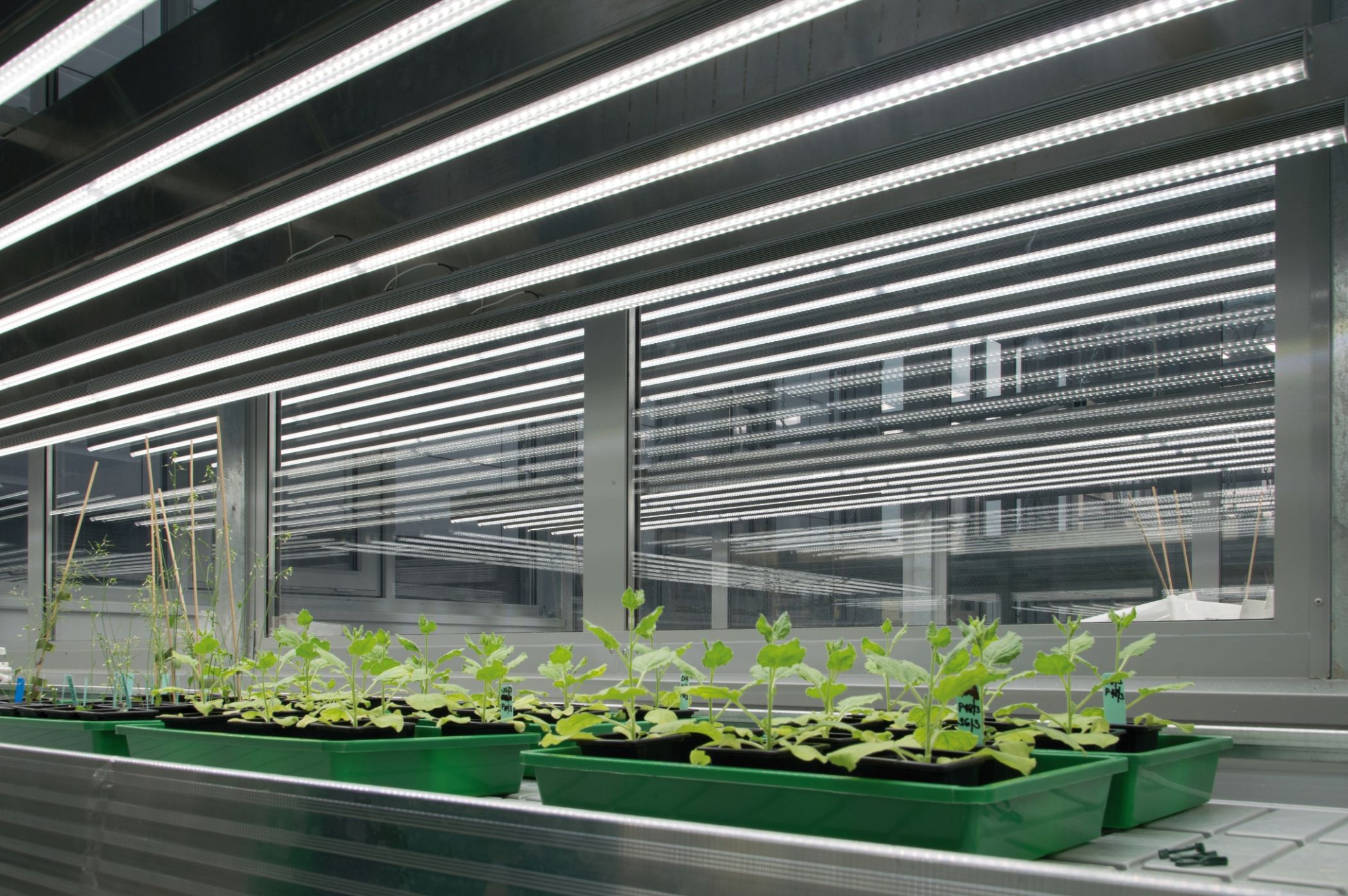 Custom LED Bars Systems