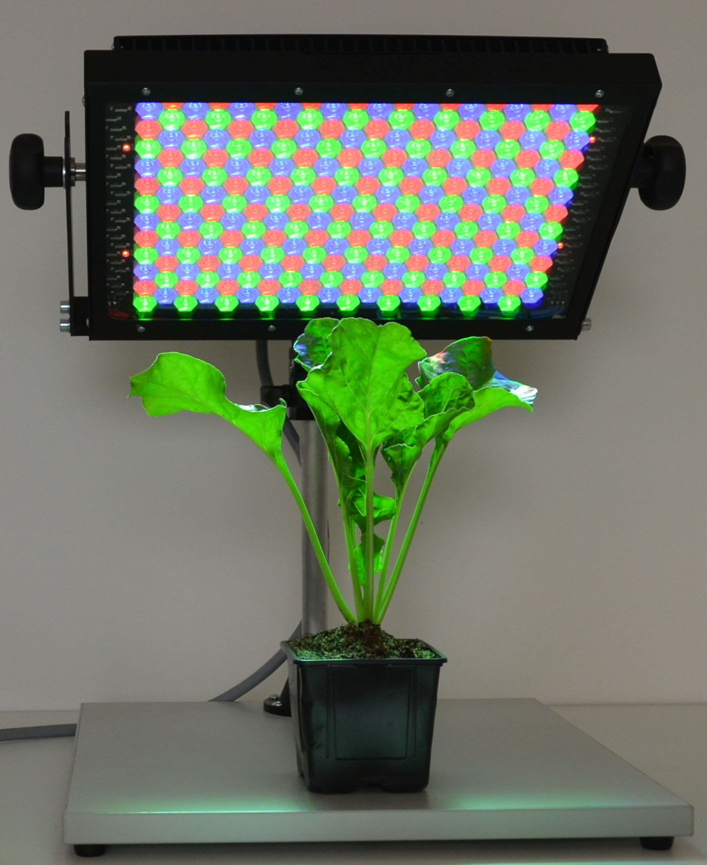 LED Lights SL 3500