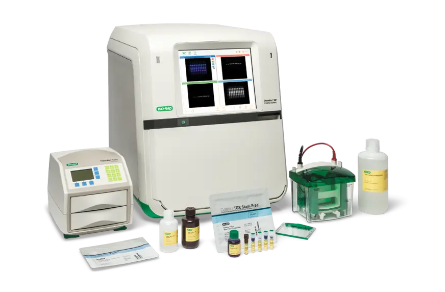Bio-Rad ChemiDoc Touch MP 成像系统
