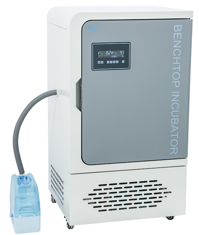恒温恒湿培养箱